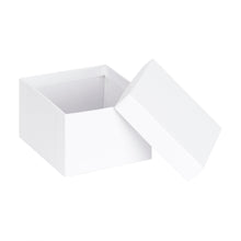 Dome Earring Box, Pinnacle Collection Earring Allurepack