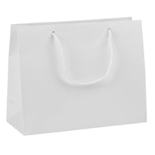 Euro Tote Bag, Matte – Landscape Cub Size Large Bag BT218-WT White 50 Allurepack